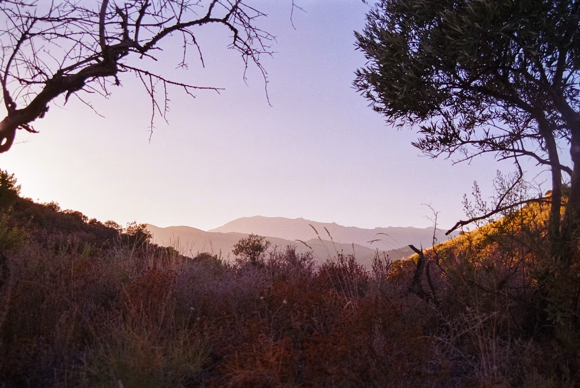 Adventures in Nature: Exploring the World’s Most Breathtaking Landscapes